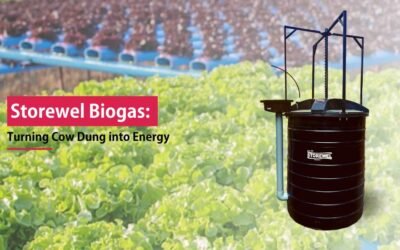 How the Storewel Biogas Plant Helps Farmers Turn Cow Dung into Sustainable Energy